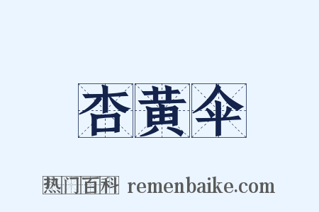 杏黄伞是什么意思的图片